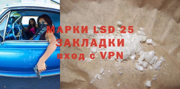 прущие грибы Аркадак