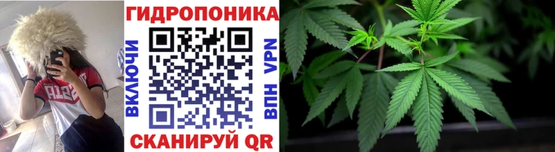 сколько стоит  Полтавская  Бошки Шишки гибрид 